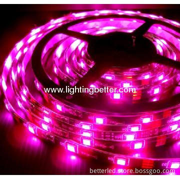 BETTER High quality hot sales pink color waterproof SMD3528 Led Strip